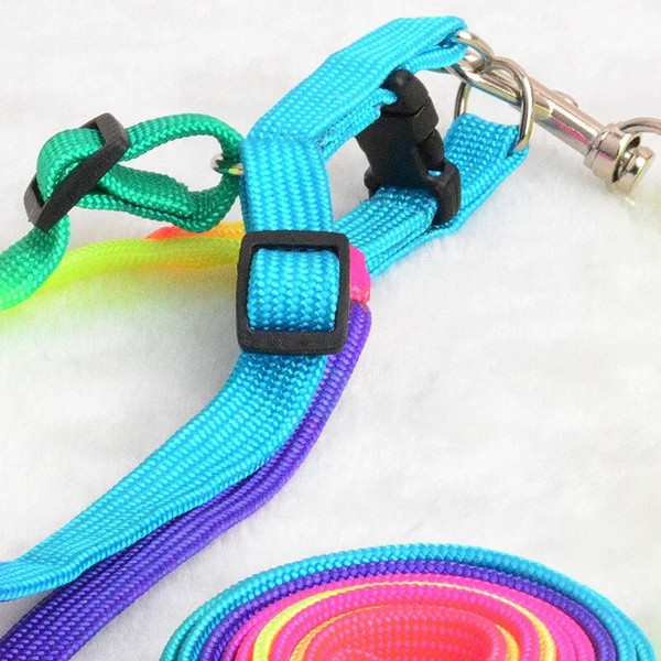 YxINColorful-Rainbow-Pet-Dog-Collar-Harness-Leash-Soft-Walking-Harness-Lead-Colorful-and-Durable-Traction-Rope.jpg