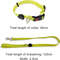 7eSALed-Light-Up-Dog-Leash-Walking-Safety-Glow-in-The-Dark-USB-Rechargeable-Adjustable-for-Large.jpg