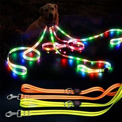 USB Rechargeable LED Light Up Dog Leash | Glow Safety | Adjustable for Small, Medium, Large Pets