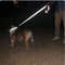 lhSIReflective-Pet-Leash-Dog-Trainning-Leashes-Outdoor-Leash-Rope-Cats-Dogs-Pet-Walking-Harness-Collar-Leader.jpg