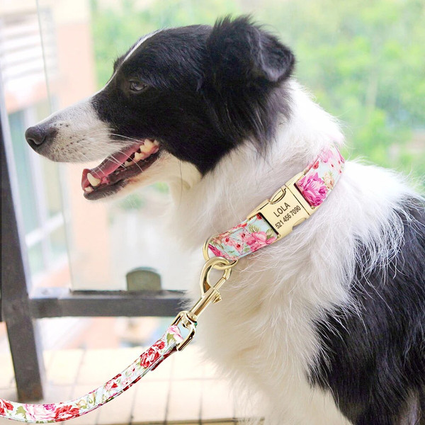 3M3QPersonalized-Floral-Dog-Collar-and-Leash-Set-Custom-Small-Medium-Large-Dog-Pet-ID-Collar-Lead.jpg