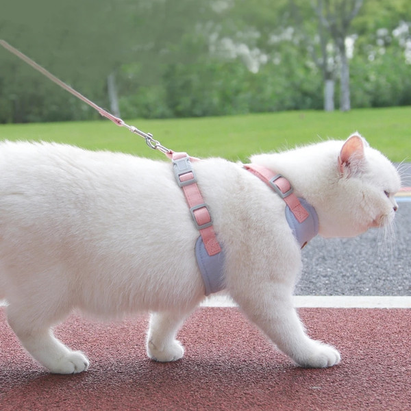RQp92023-Cat-Dog-Harness-with-Leash-Escape-Proof-Adjustable-Pet-Vest-Harness-for-Small-Dogs-Cats.jpg