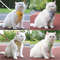 e1kB2023-Cat-Dog-Harness-with-Leash-Escape-Proof-Adjustable-Pet-Vest-Harness-for-Small-Dogs-Cats.jpg
