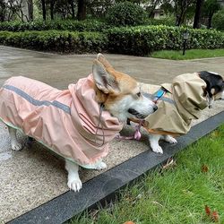 waterproof jacket with reflective strip | pet accessories