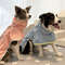 7ypvPet-Accessories-YorkDog-Clothes-Rain-Coat-Dog-Waterproof-Dog-Coat-Jacket-with-Safety-Reflective-Strip-Poncho.jpg