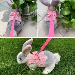 Small Animal Outdoor Walking Harness & Leash Set: Cute Clothes for Rabbits