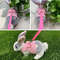 1O0bSmall-Animal-Outdoor-Walking-Harness-and-Leash-Set-Cute-Clothes-for-Puppy-Kitten-Pigs-Bunny-Chinchillas.jpg