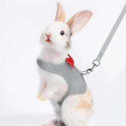 Adjustable Pet Lead Rope for Small Pets - Stylish Totoro Design