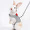 6En8Pet-Lead-Rope-Rabbit-Totoro-Golden-Silk-Bear-Puppy-Adjustable-Professional-Traction-Rope-Chest-Back-Fashion.jpg