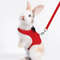 k4LkPet-Lead-Rope-Rabbit-Totoro-Golden-Silk-Bear-Puppy-Adjustable-Professional-Traction-Rope-Chest-Back-Fashion.jpg