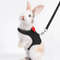 Jlf4Pet-Lead-Rope-Rabbit-Totoro-Golden-Silk-Bear-Puppy-Adjustable-Professional-Traction-Rope-Chest-Back-Fashion.jpg