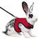 YvmtAdjustable-Soft-Harness-with-Elastic-Leash-for-Rabbits-Harness-Bunny-Vest-Harness-Suit-for-Ferret-Kittn.jpg