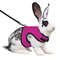 jYQkAdjustable-Soft-Harness-with-Elastic-Leash-for-Rabbits-Harness-Bunny-Vest-Harness-Suit-for-Ferret-Kittn.jpg