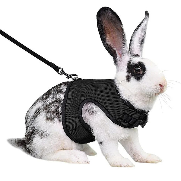 lHbMAdjustable-Soft-Harness-with-Elastic-Leash-for-Rabbits-Harness-Bunny-Vest-Harness-Suit-for-Ferret-Kittn.jpg