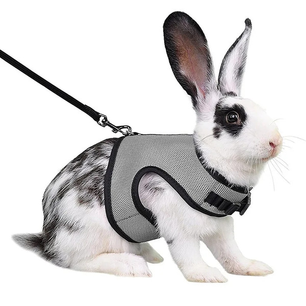 CSFyAdjustable-Soft-Harness-with-Elastic-Leash-for-Rabbits-Harness-Bunny-Vest-Harness-Suit-for-Ferret-Kittn.jpg