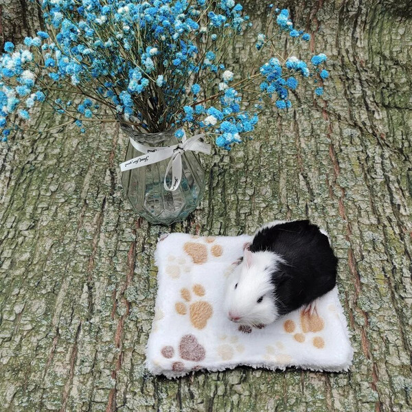 ZHPhGuinea-Pig-Hamster-Warm-Mats-Bed-Hamster-Sleep-Pad-Squirrel-Hedgehog-Soft-Cushion-Rabbit-Chinchilla-Bed.jpg