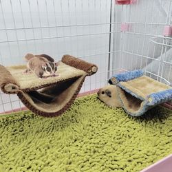 Cozy Cotton Hammock: Ideal Nest for Guinea Pigs & Small Pets