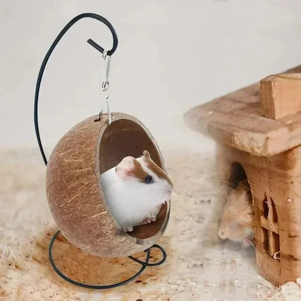 upgFHamster-Coconut-Shell-Hanging-Hammock-Nest-Bed-Hideout-with-Stand-Cage-Accessories-for-Small-Animals-Golden.jpg