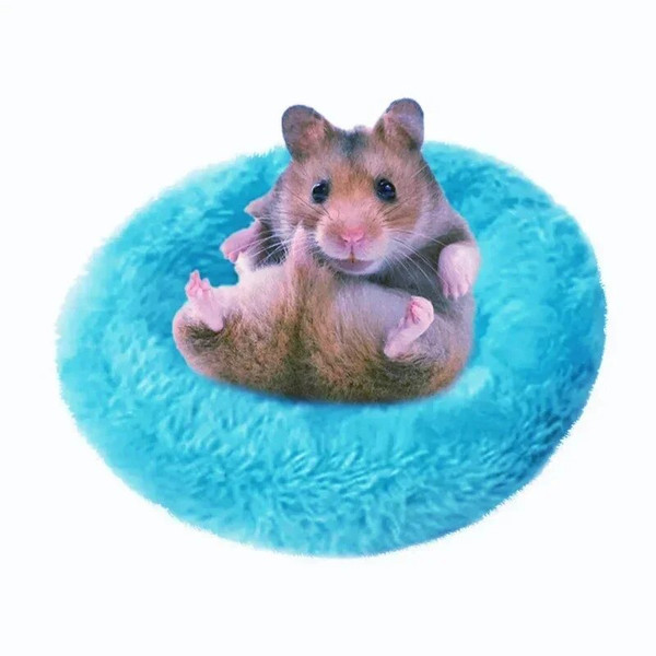 l5gDHamster-Coconut-Shell-Hanging-Hammock-Nest-Bed-Hideout-with-Stand-Cage-Accessories-for-Small-Animals-Golden.jpg