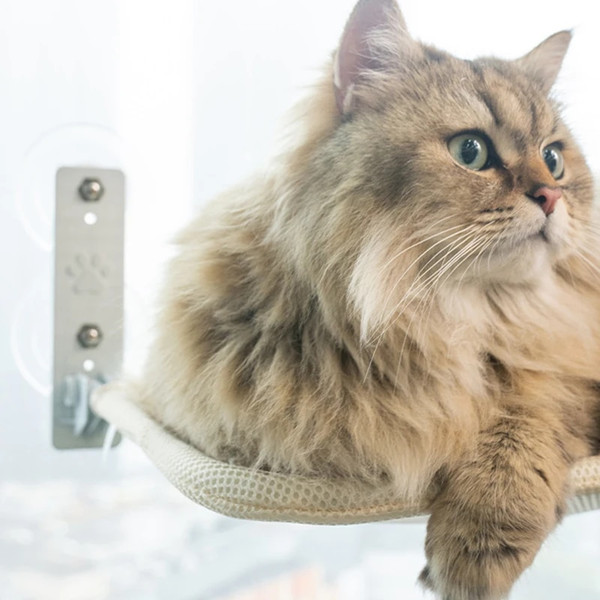 DHjnFoldable-Cat-Window-Hammock-Cat-Window-Cordless-with-4-Strong-Suction-Cups-Windowsill-Cat-Beds-Seat.jpg
