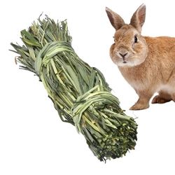 Bunny & Guinea Pig Grass Ball Chew Toys: Teeth-Cleaning Snacks for Small Pets