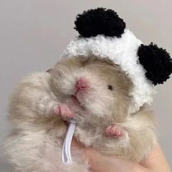GOLDEN Silk Hamster Plush Hat: Handcrafted Winter Photo Props for Cute PetS