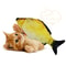 4MWW20-30-40-Creative-Cat-Toy-3d-Fish-Simulation-Soft-Plush-Anti-Bite-Catnip-Interaction-Chewing.jpg