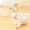 6TG4Training-Self-moving-Kitten-Electric-Cat-Ball-Toys-Automatic-Rolling-Smart-Cat-Toys-for-Cats-Toys.jpg