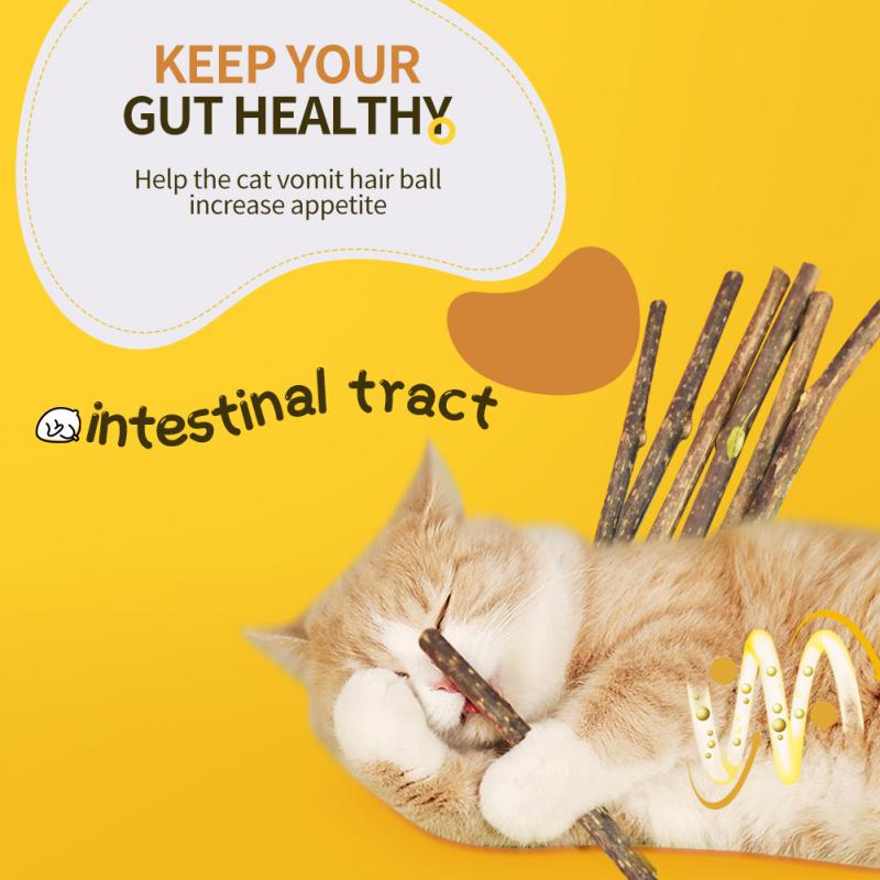 NuSW6-Sticks-Natural-Cat-Mint-Sticks-Cat-Catnip-Chews-Toys-Pet-Molar-Sticks-Kittens-Cleaning-Teeth.jpg