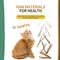hSgs6-Sticks-Natural-Cat-Mint-Sticks-Cat-Catnip-Chews-Toys-Pet-Molar-Sticks-Kittens-Cleaning-Teeth.jpg