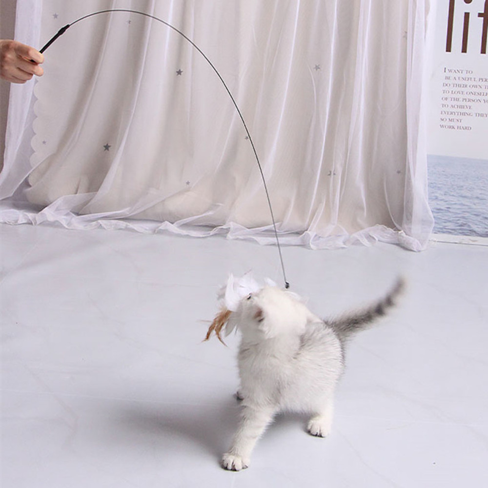 LOReCat-Toy-Funny-Cat-Toys-Interactive-Self-Hi-Feather-Toys-for-Cats-Tease-Bite-Resistant-Cats.jpg