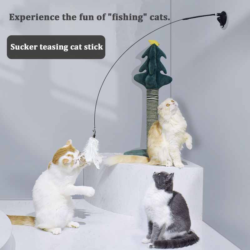 DS3HFunny-Cat-Toy-Folorful-Fluffy-Feather-With-Bell-Sucker-Cat-Stick-Toy-Kitten-Play-Interactive-Detachable.jpg