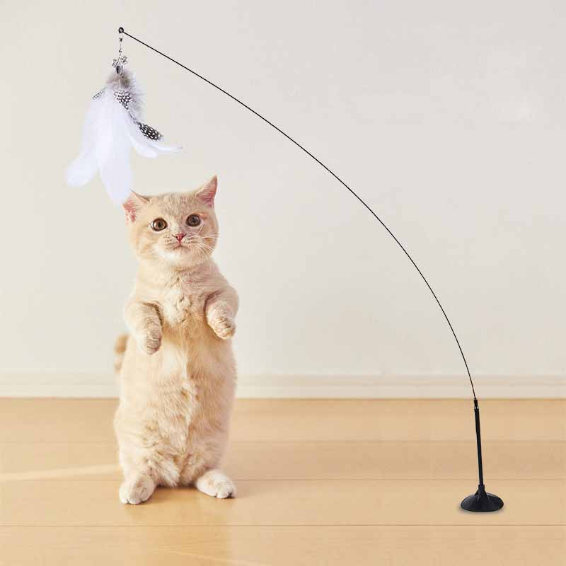 oenHFunny-Cat-Toy-Folorful-Fluffy-Feather-With-Bell-Sucker-Cat-Stick-Toy-Kitten-Play-Interactive-Detachable.jpg