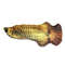 nmek20CM-Pet-Cat-Toy-Fish-Built-In-Cotton-Battery-Free-Ordinary-Simulation-Fish-Cat-Interactive-Entertainment.jpg