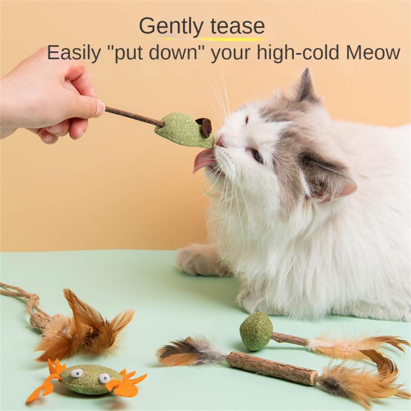 o9ZtPet-Catnip-Toys-Edible-Catnip-Ball-Healthy-Cat-Mint-Cats-Household-Chasing-Game-Toy-Products-Cleaning.jpg