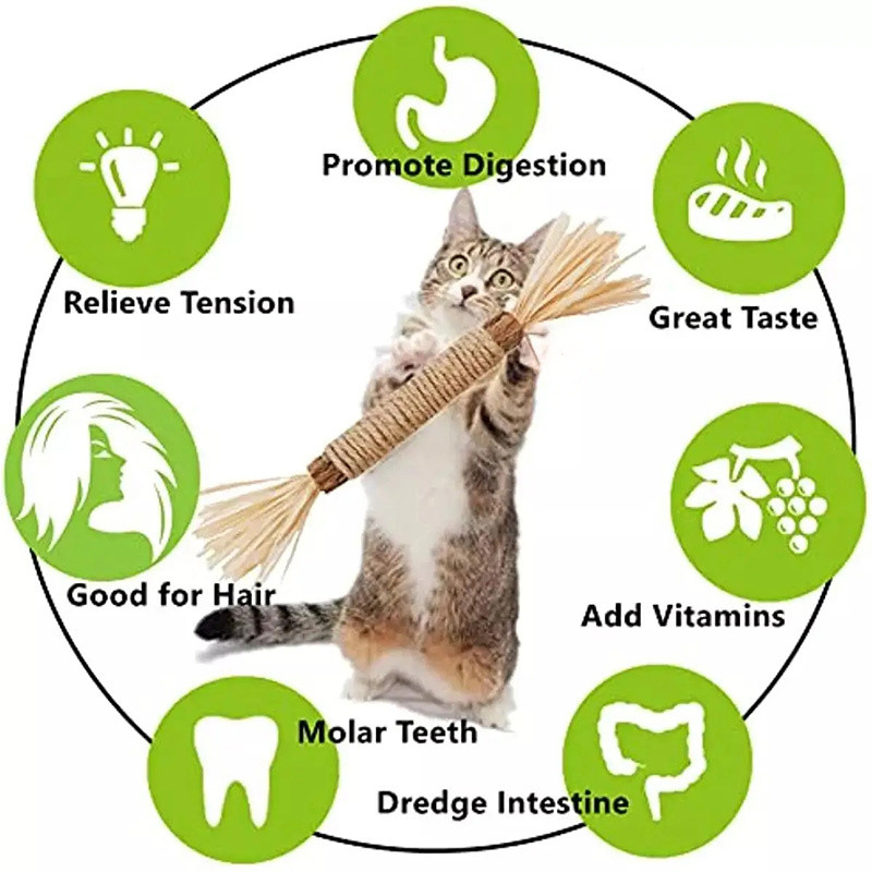 48GGCatnip-Cat-Toys-Natural-Matatabi-Pet-Cat-Snacks-Stick-Cleans-Tooth-Removers-Hair-to-Promote-Digestion.jpg
