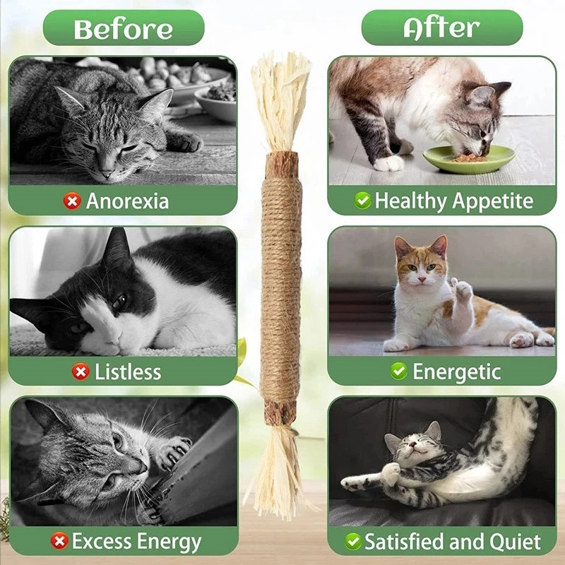 tamSCatnip-Cat-Toys-Natural-Matatabi-Pet-Cat-Snacks-Stick-Cleans-Tooth-Removers-Hair-to-Promote-Digestion.jpg