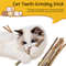 CWx950-5PCS-Catnip-Stick-Pet-Cat-Molar-Toys-Natural-Wood-Polygonum-Sticks-Cleaning-Teeth-Relieve-Boredom.jpg