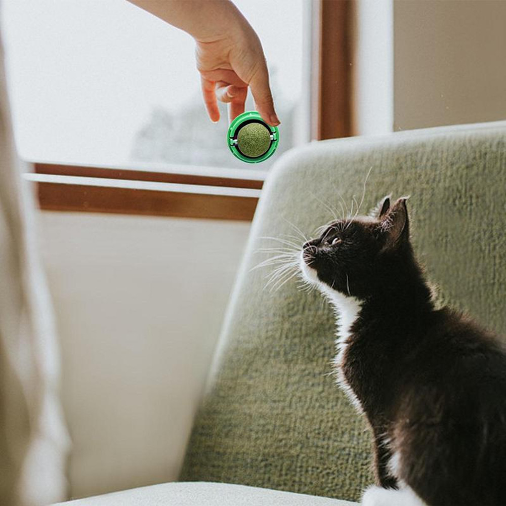 4bqjCat-Toys-Catnip-Wall-Ball-Clean-Mouth-Promote-Digestion-Kitten-Candy-Licking-Snacks-Pet-Mint-Ball.jpg