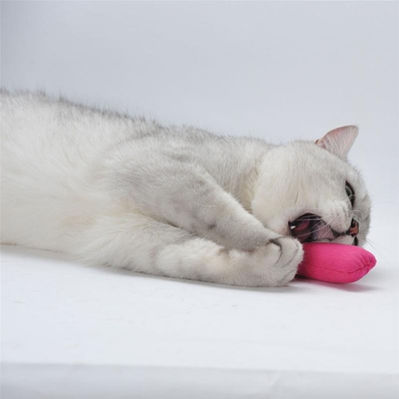 nuVZFunny-Interactive-Crazy-Cat-Toy-Pet-Kitten-Chewing-Toy-Teeth-Grinding-Catnip-Toys-Claws-Thumb-Bite.jpg