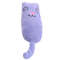 02yHFunny-Interactive-Crazy-Cat-Toy-Pet-Kitten-Chewing-Toy-Teeth-Grinding-Catnip-Toys-Claws-Thumb-Bite.jpg