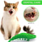 a08dATUBAN-Cat-Toothbrush-Toy-Durable-Hard-Rubber-Cat-Dental-Care-Cat-Interactive-Toothbrush-Chew-Toy-cat.jpg