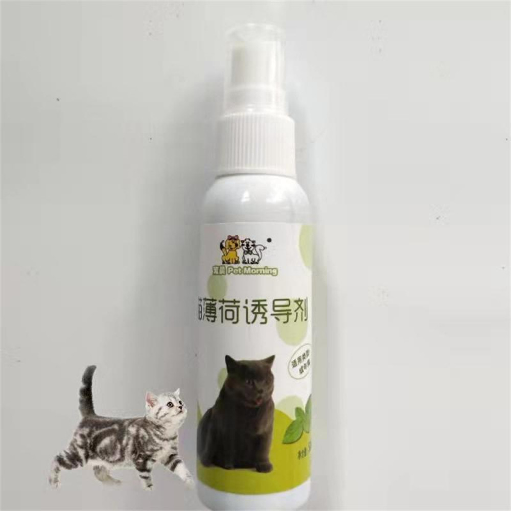 fDxk50ml-Cat-Catnip-Spray-Healthy-Ingredients-Catnip-Spray-For-Kittens-Cats-Attractant-Easy-To-Use-Safe.jpg