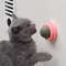 ZJFACatnip-Wall-Ball-Cats-Toys-Rotatable-Licking-Natural-Catnip-Toy-Teeth-Cleaning-Freshen-Breath-Remove-Hair.jpg
