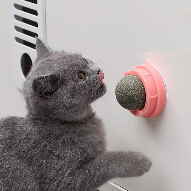 ZJFACatnip-Wall-Ball-Cats-Toys-Rotatable-Licking-Natural-Catnip-Toy-Teeth-Cleaning-Freshen-Breath-Remove-Hair.jpg