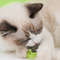 lAF5Catnip-Wall-Ball-Cats-Toys-Rotatable-Licking-Natural-Catnip-Toy-Teeth-Cleaning-Freshen-Breath-Remove-Hair.jpg