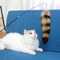 7YpMFunny-Cat-Plush-Tail-Teaser-Wand-Toy-Kitten-Cat-Exercise-Playing-Accessories-Simulation-Fox-Tail-Fur.jpg