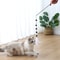 fkv2Feather-Cat-Toys-Interactive-for-Cats-Teasing-Durable-Kitten-Playing-Stick-Cute-Multicolour-Plush-Ball-Pet.jpg