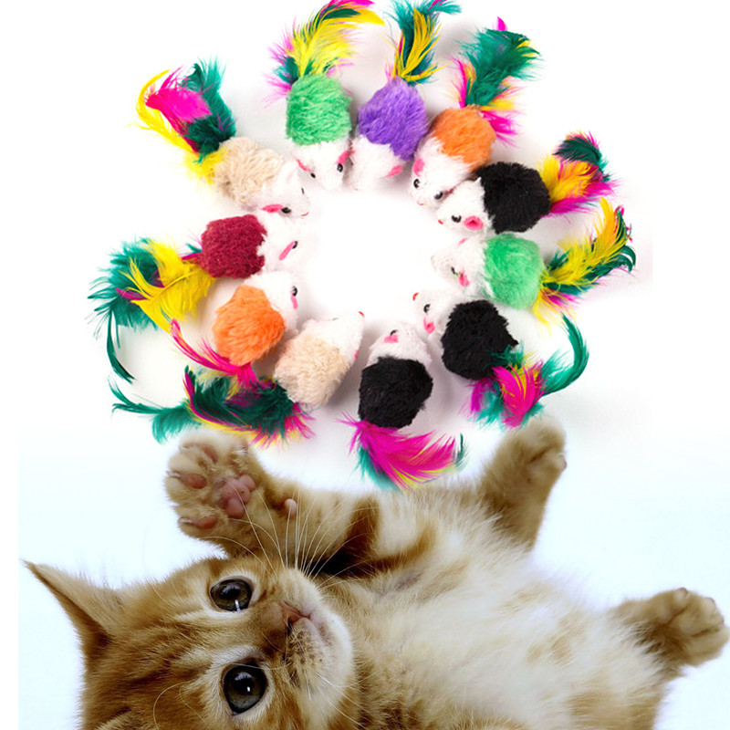 uzYb10pcs-lot-Mini-Colorful-Cat-Toys-Plush-False-Mouse-Toys-for-Cats-Kitten-Animal-Funny-Playing.jpg