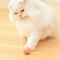 wCZ4Smart-Cat-Toys-Automatic-Rolling-Ball-Electric-Cat-Toys-Interactive-For-Cats-Training-Self-moving-Kitten.jpg